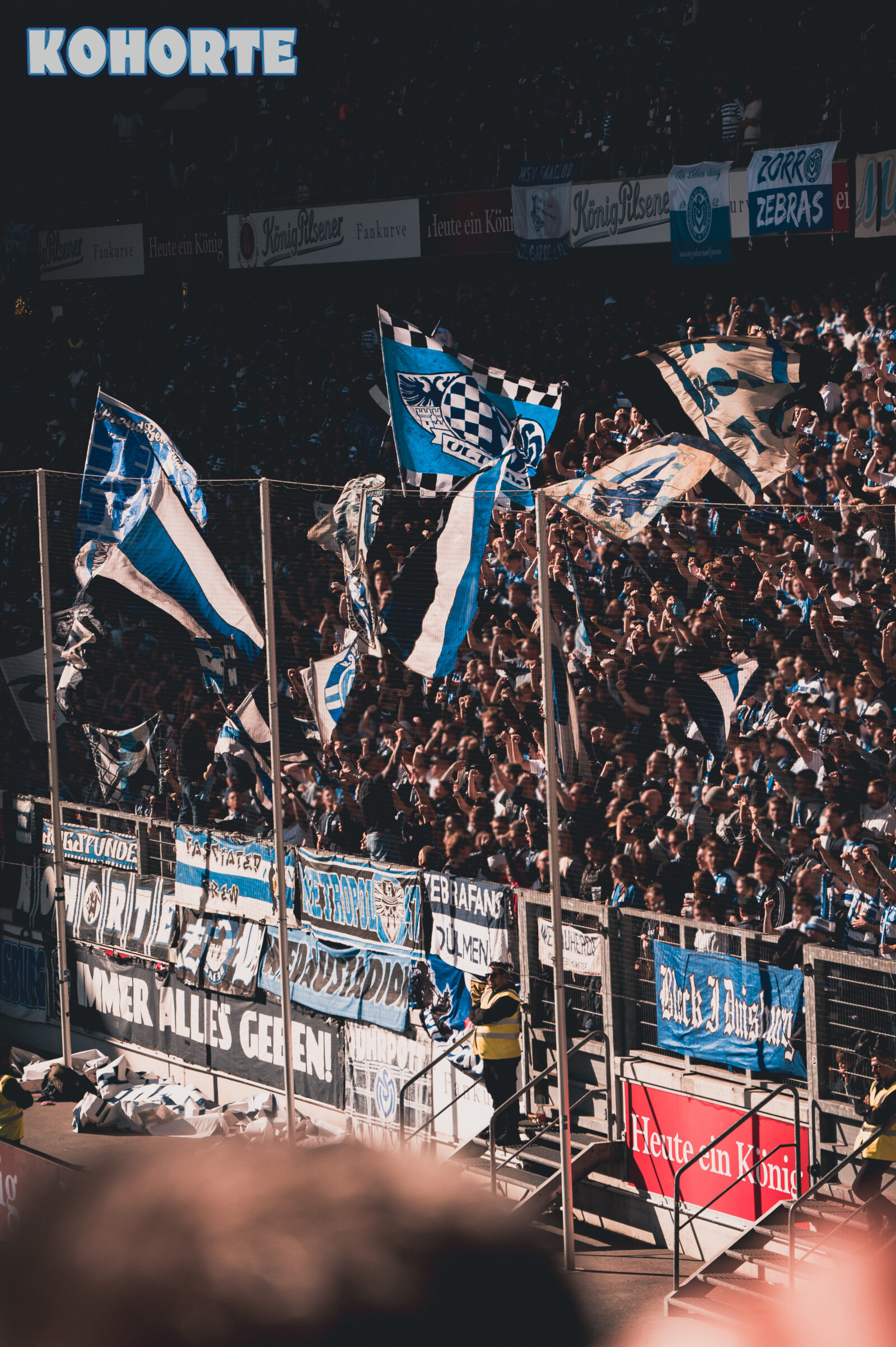MSV Duisburg – SV Rödinghausen 2-1 (2)