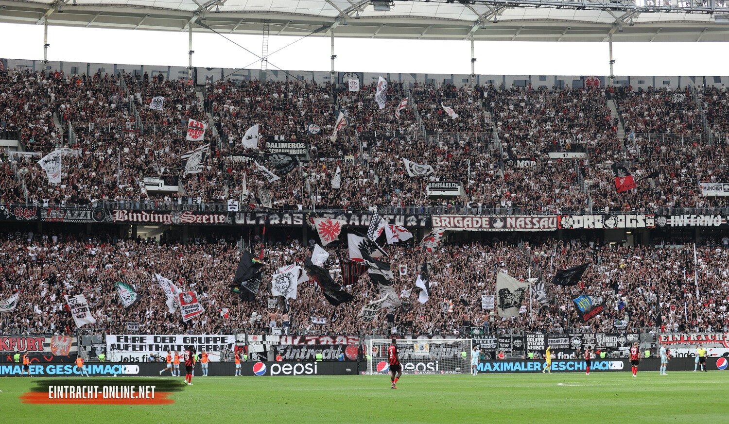 Eintracht Frankfurt – 1, FC Köln 1-1 (9)