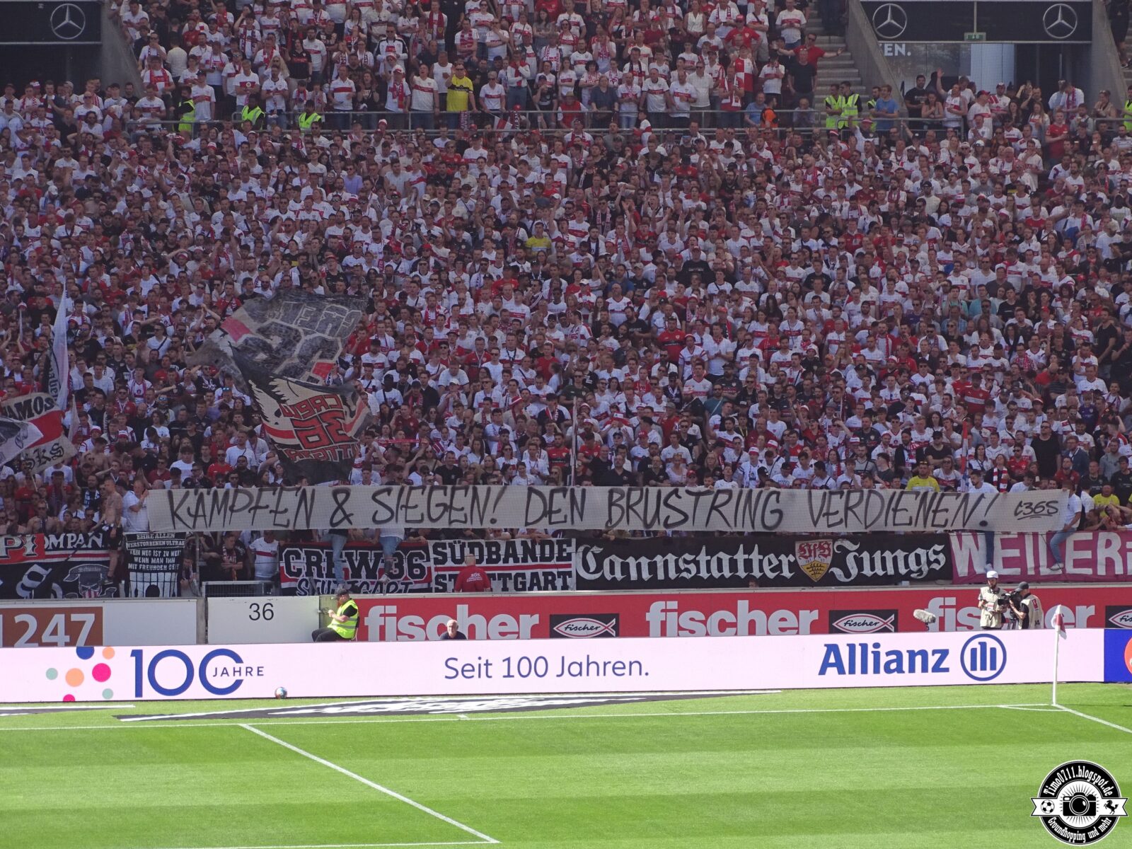 VfB Stuttgart – 1. FC Köln 2-1 (42)