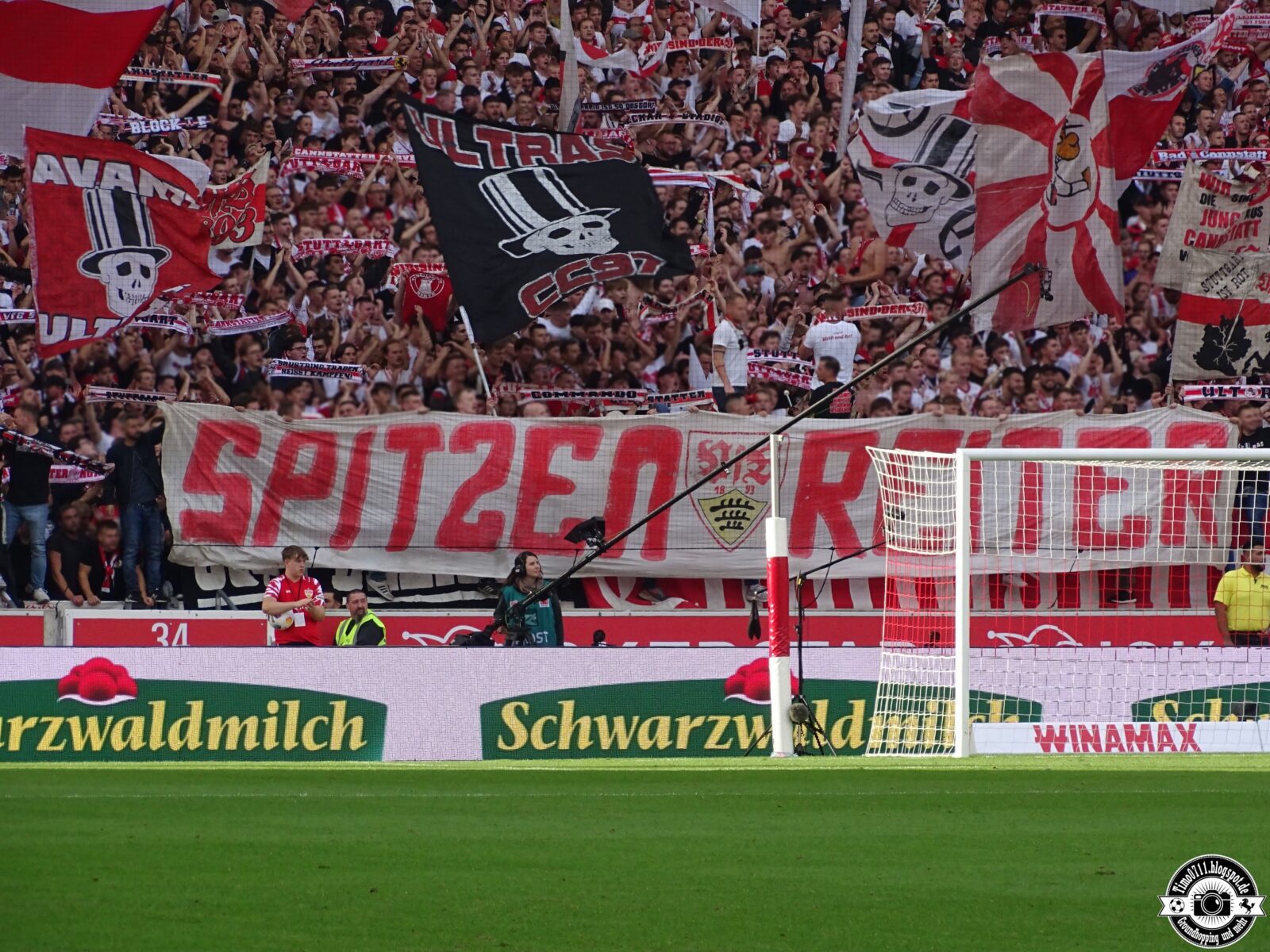 VfB Stuttgart – VfL Wolfsburg 3-1 (25)