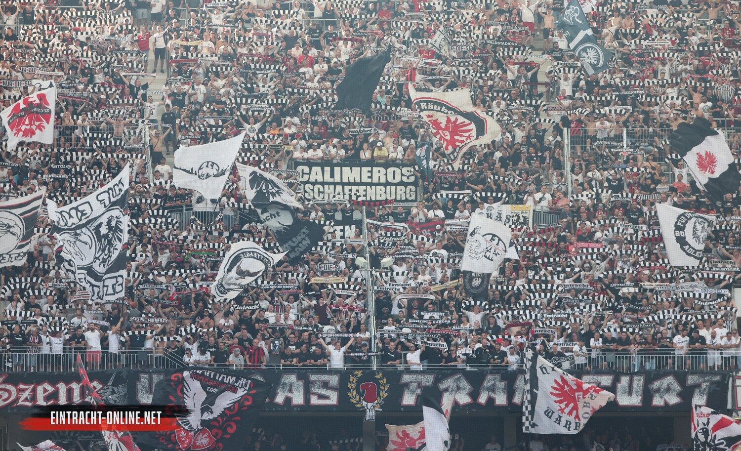 Eintracht Frankfurt – SV Darmstadt 98 1-0