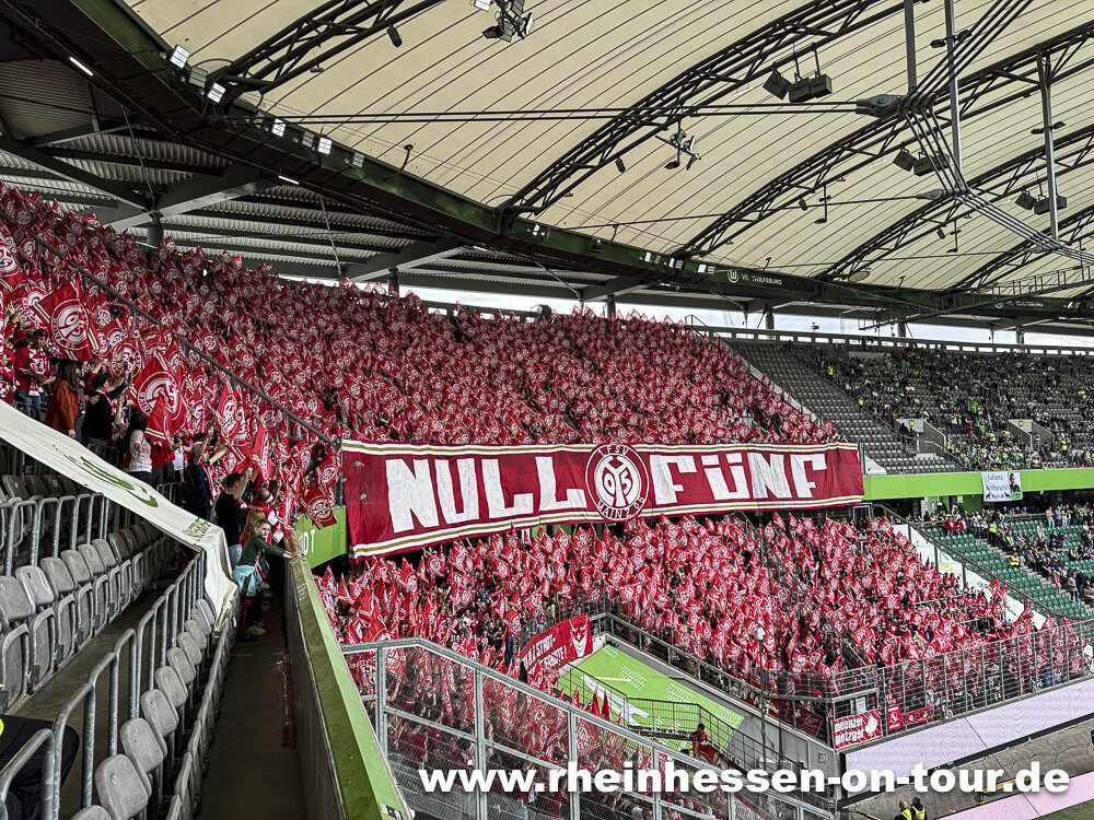 VfL Wolfsburg – 1. FSV Mainz 05 1-3 (13)