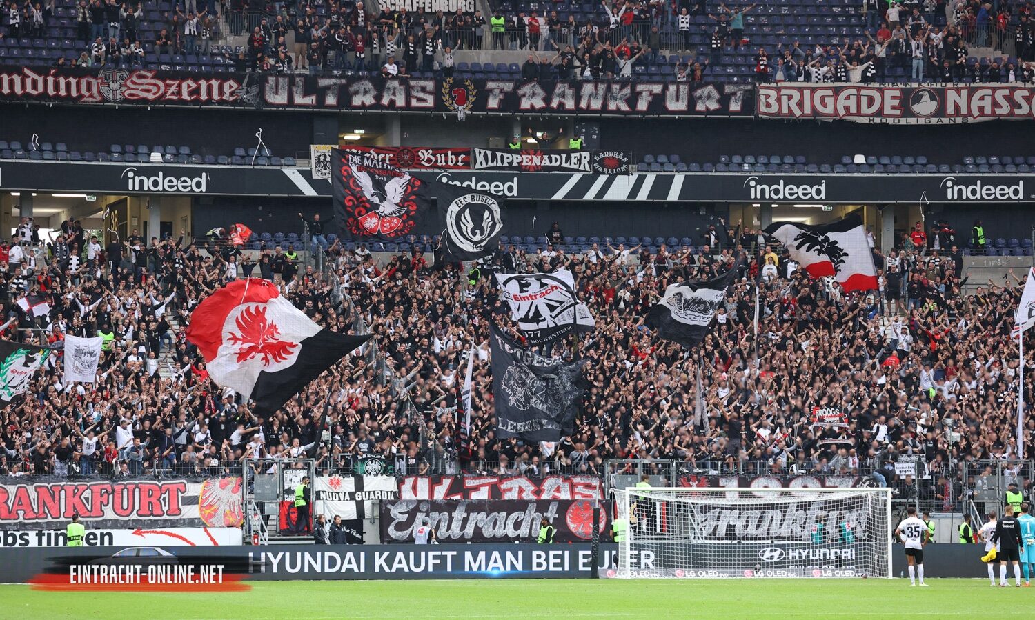 Eintracht Frankfurt – VfL Wolfsburg 0-1 (24)