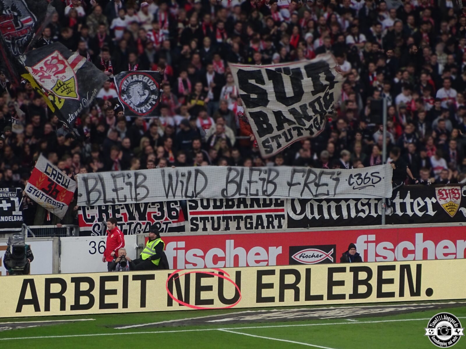 VfB Stuttgart – 1. FC Köln 3-0 (15)
