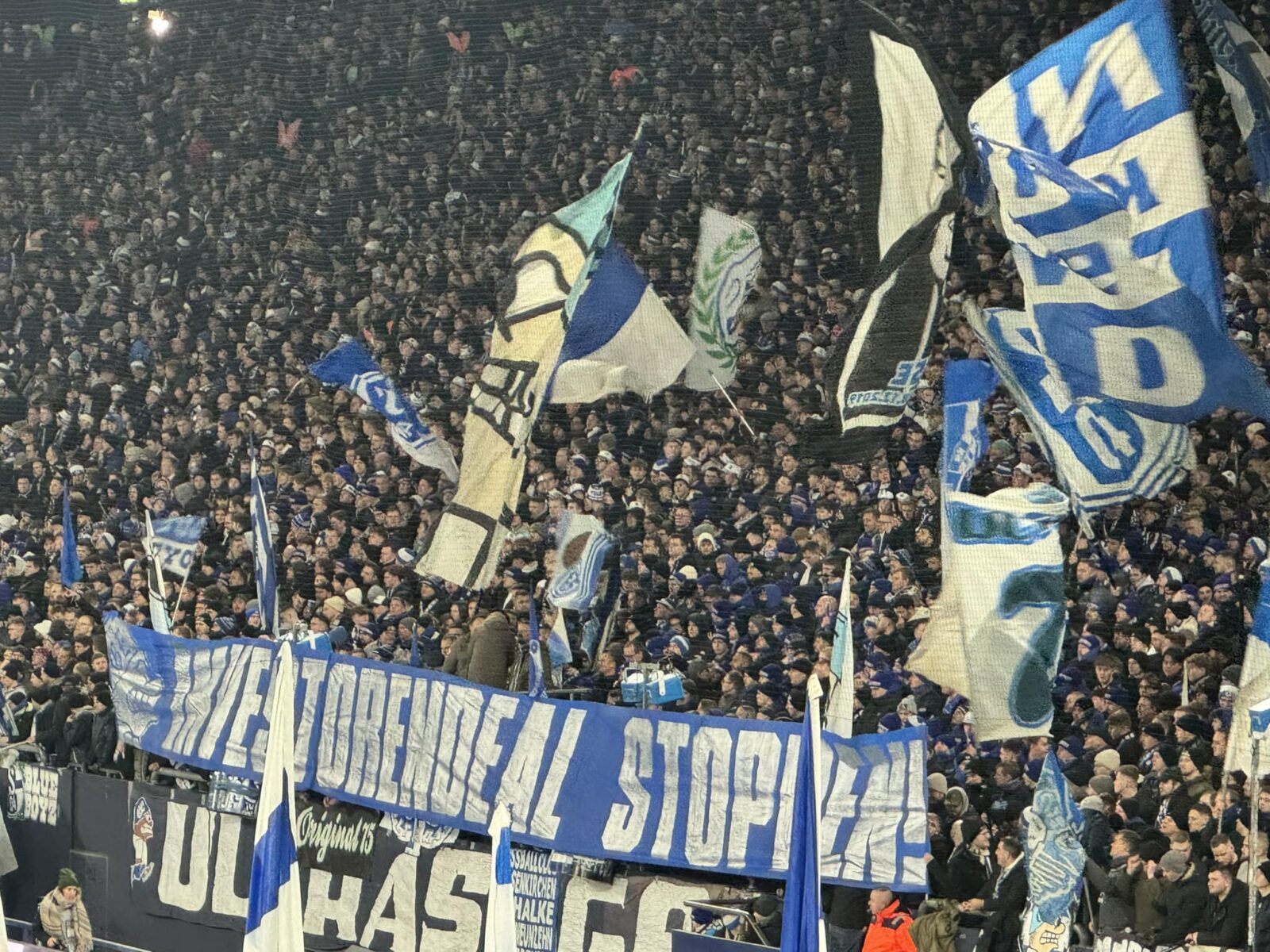 FC Schalke 04 – Hamburger SV (25)
