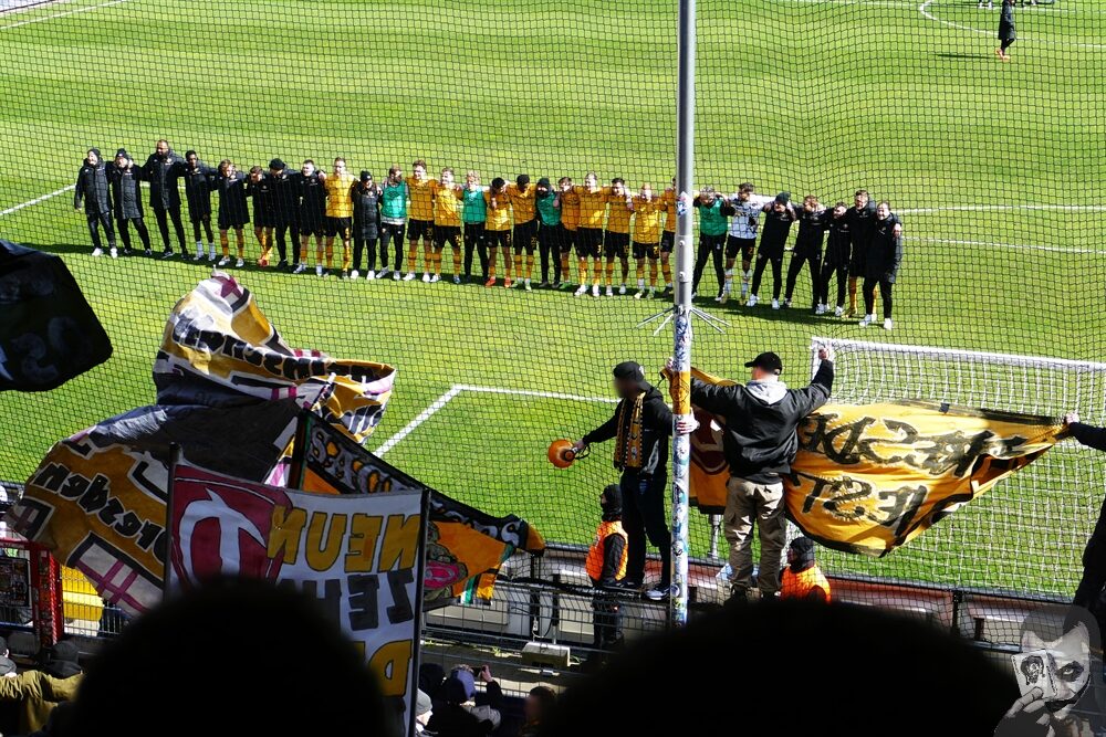 VfL Osnabrück – Dynamo Dresden 0-1 (2)