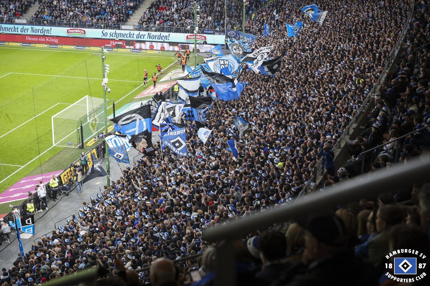 Hamburger SV – SC Paderborn 2-2 (14)