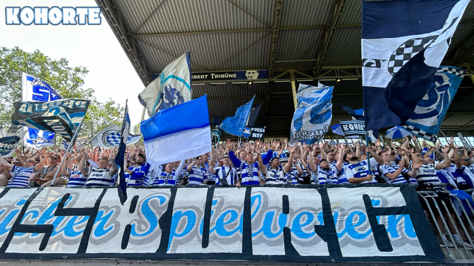 SV Waldhof Mannheim – MSV Duisburg 3-1 (8)