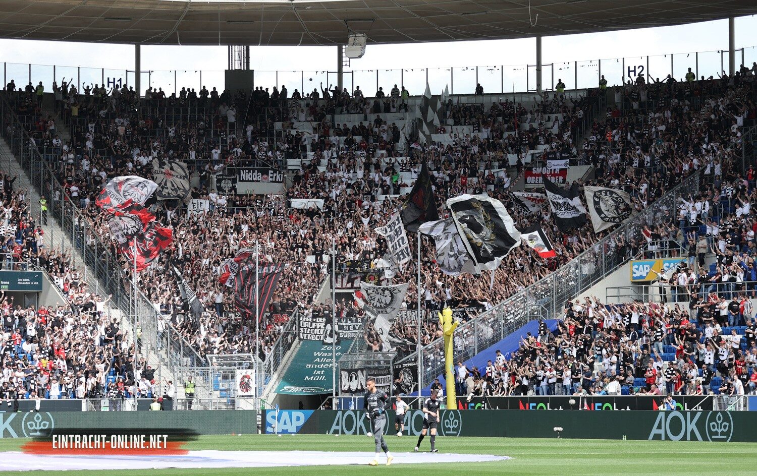 TSG Hoffenheim – Eintracht Frankfurt 3-1 (20)