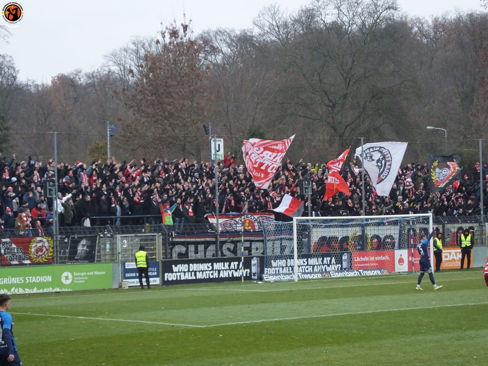 SV Babelsberg 03 – FC Energie Cottbus 0-1 (5)