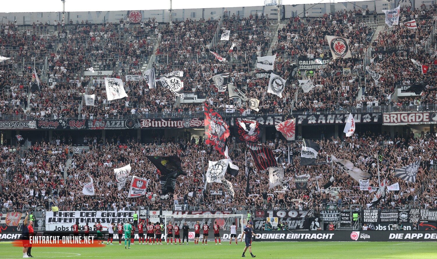 Eintracht Frankfurt – 1, FC Köln 1-1 (12)