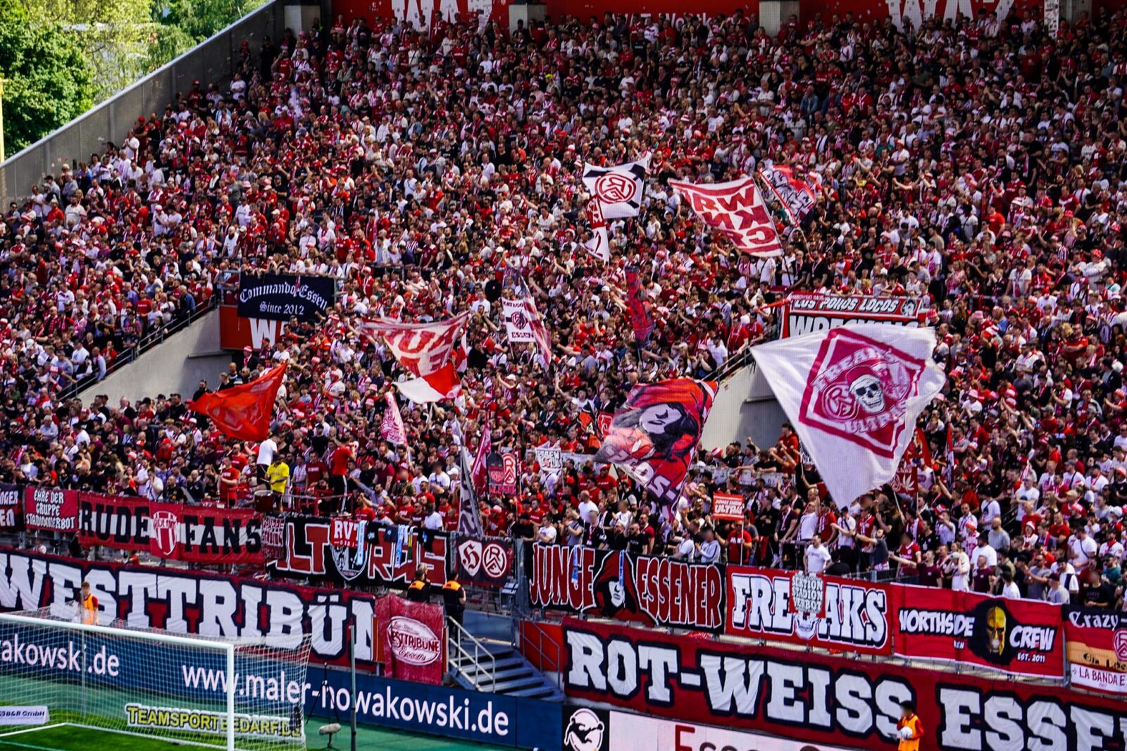 Rot-Weiss Essen – TSV 1860 München 2-2 (14)