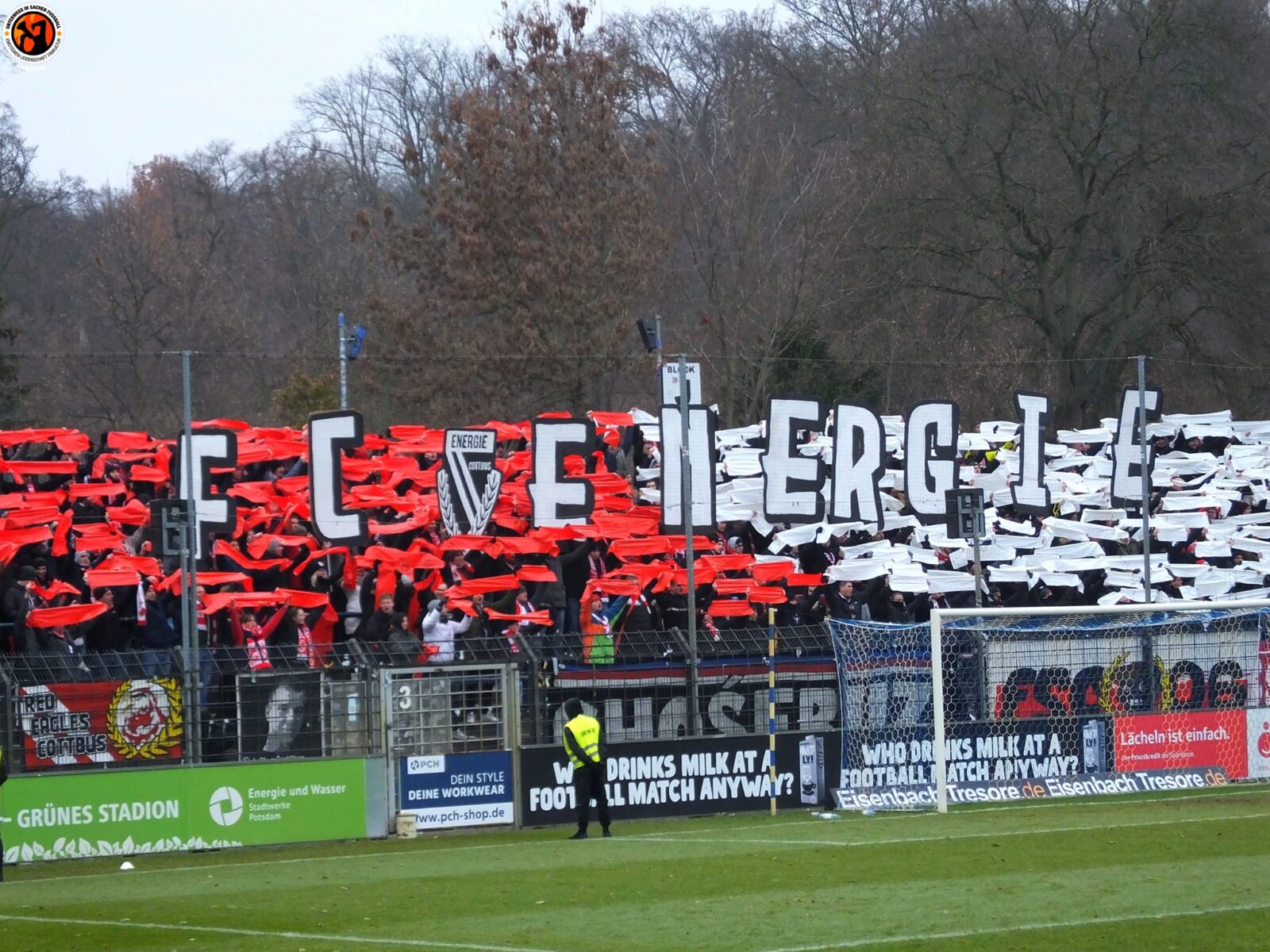 SV Babelsberg 03 – FC Energie Cottbus 0-1 (4)