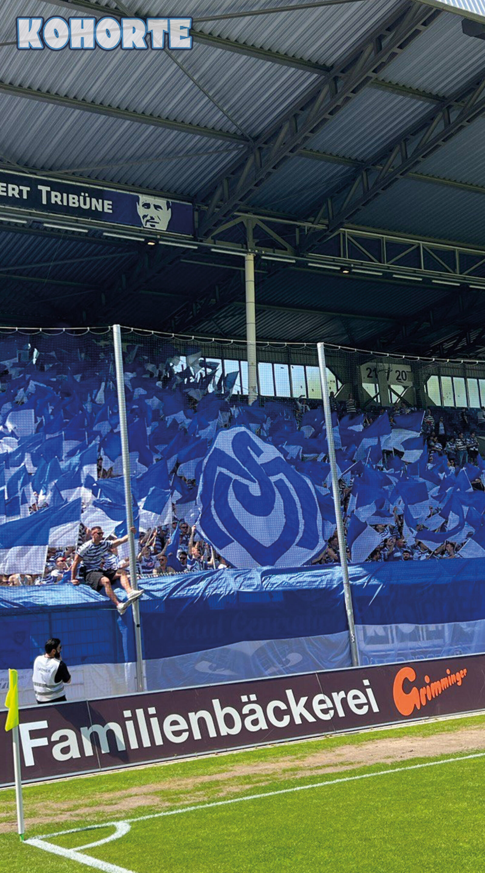 SV Waldhof Mannheim – MSV Duisburg 3-1 (6)