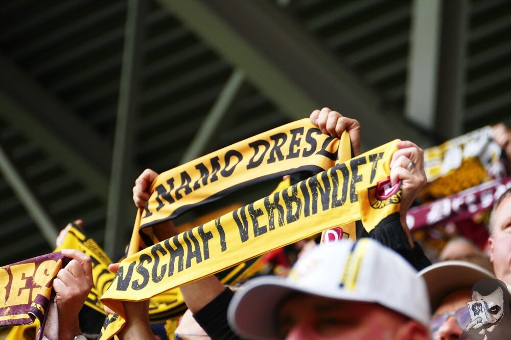 Dynamo Dresden – SV Wehen 3-1 (5)