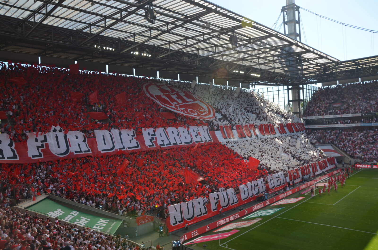 1. FC Köln – FC Schalke 04 3-1 (29)