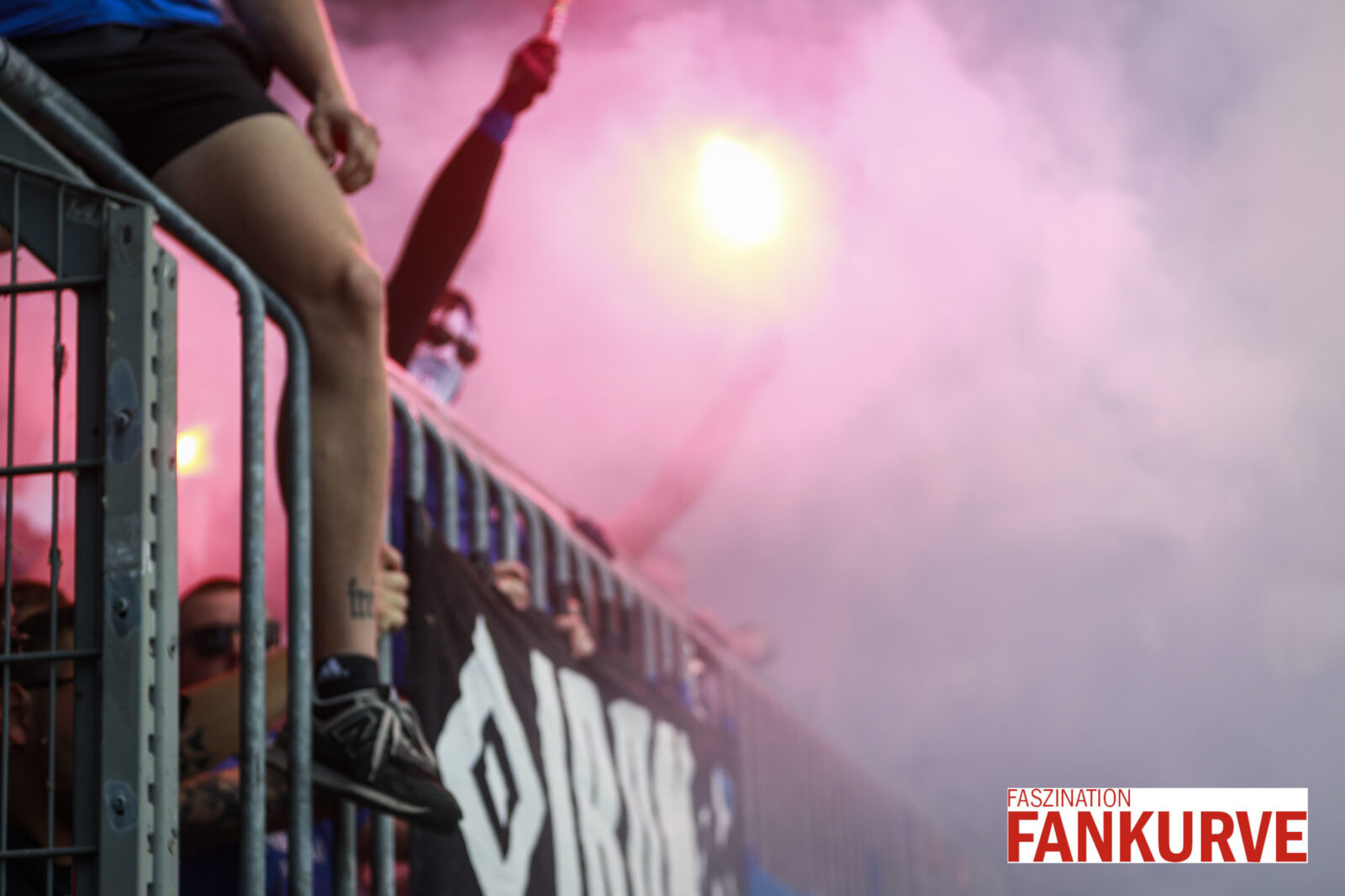 Eintracht Braunschweig – Hamburger SV 0-2 (34)