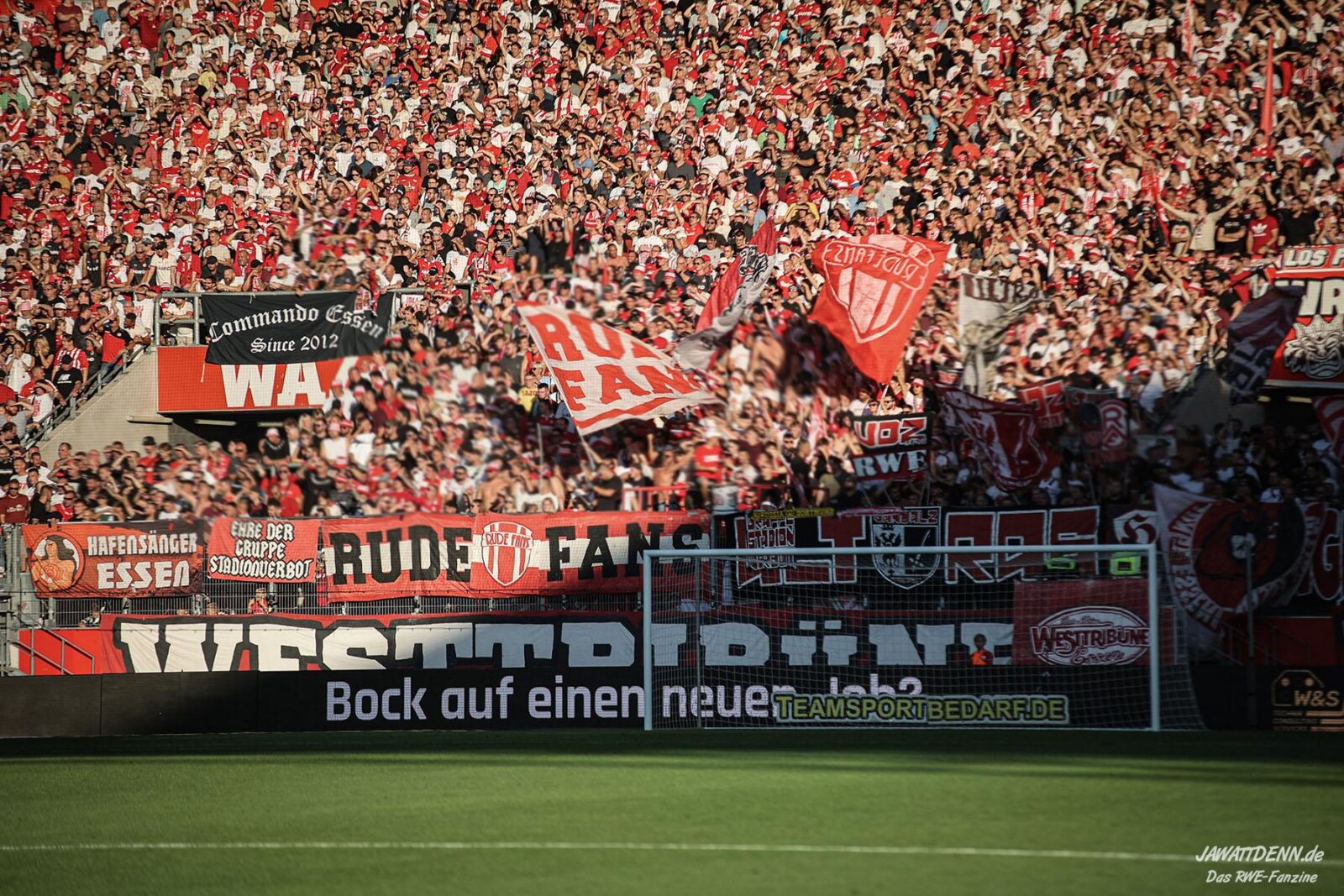 Rot-Weiss Essen – Viktoria Köln 1-4 (5)