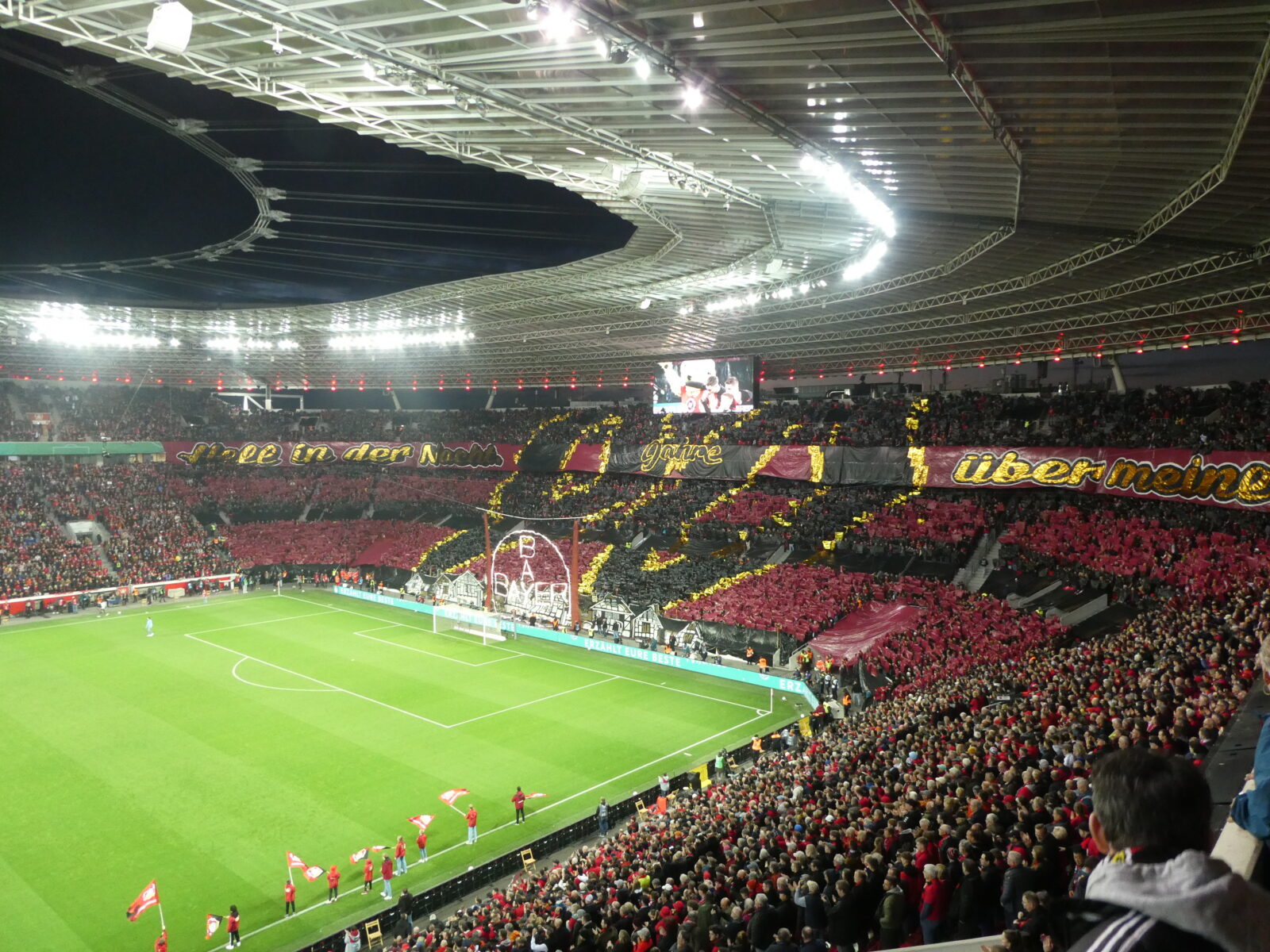 Bayer 04 Leverkusen – Fortuna Düsseldorf 4-0 (7)