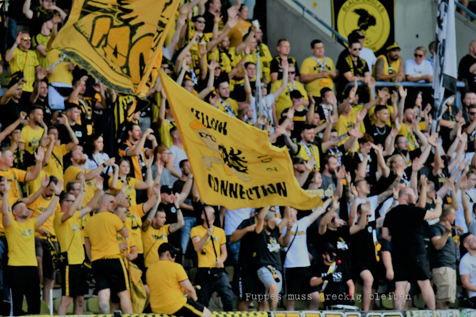 SG Wattenscheid 09 – TSV Alemannia Aachen 1-2 (6)
