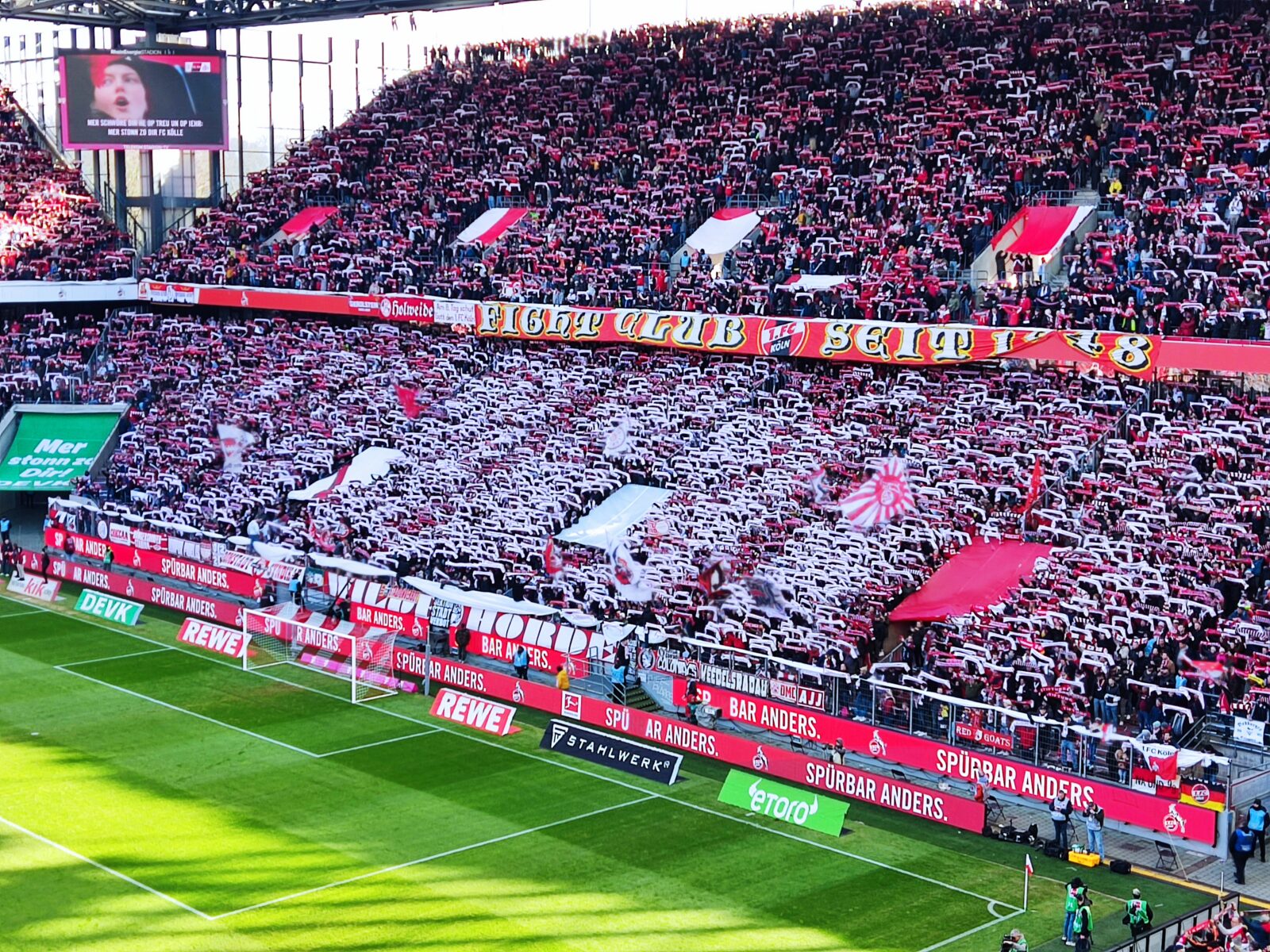 1. FC Köln – VfL Wolfsburg (19)