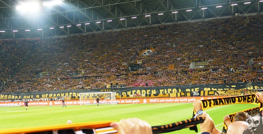 Dynamo Dresden – FC Erzgebirge Aue 2-1 (10)