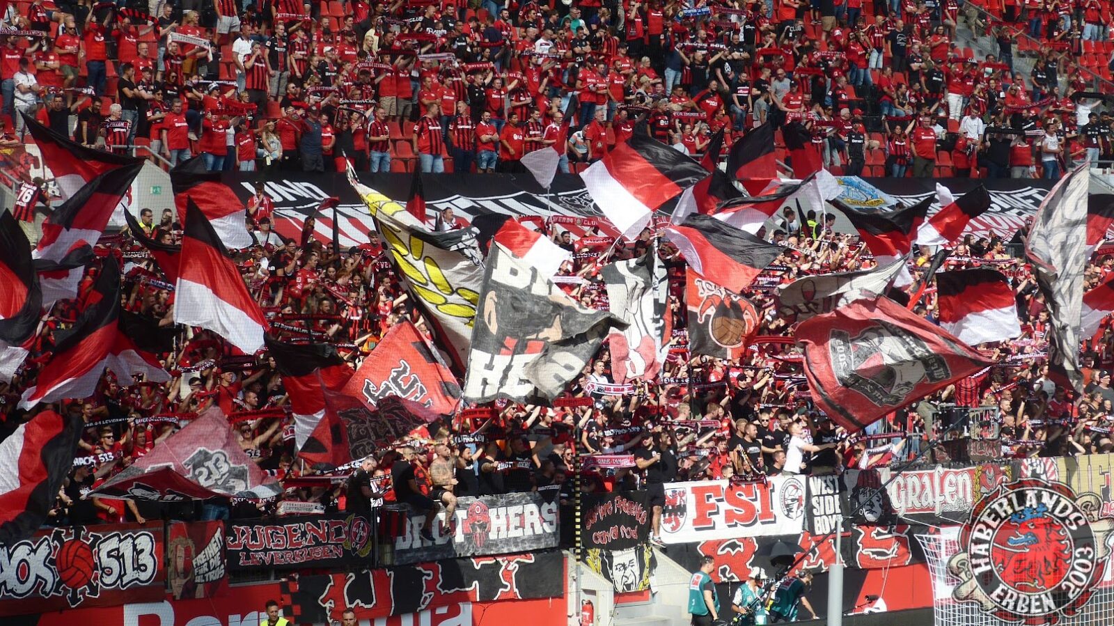Bayer 04 Leverkusen – SC Freiburg 2-3 (6)