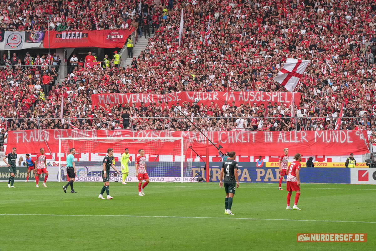 SC Freiburg – Werder Bremen 1-0 (32)