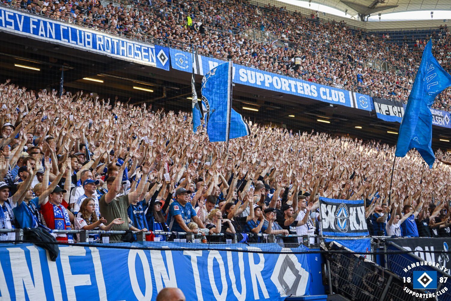 Hamburger SV – SV Darmstadt 98 1-2 (15)