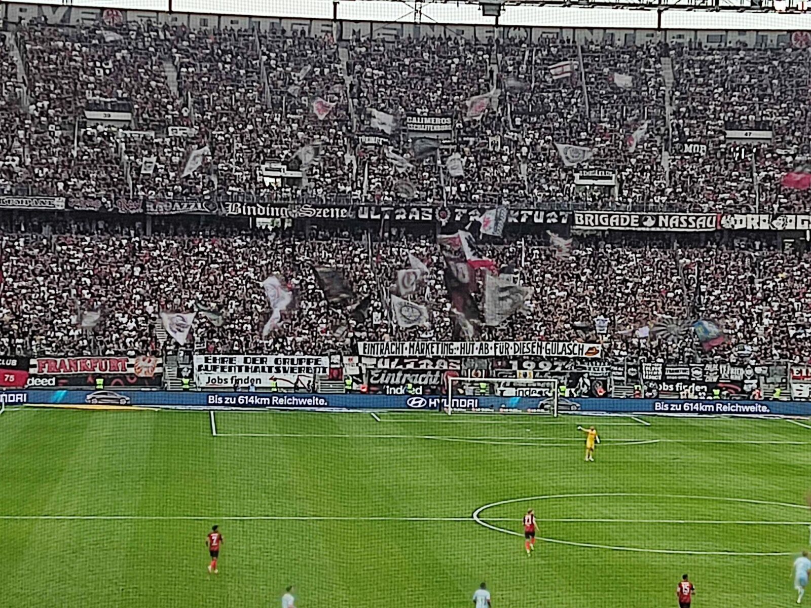 Eintracht Frankfurt – 1, FC Köln 1-1 (15)