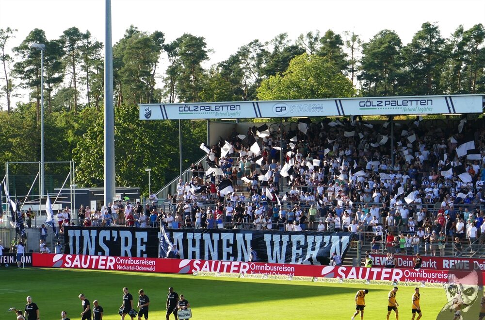 SV Sandhausen – Dynamo Dresden 1-0 (2)