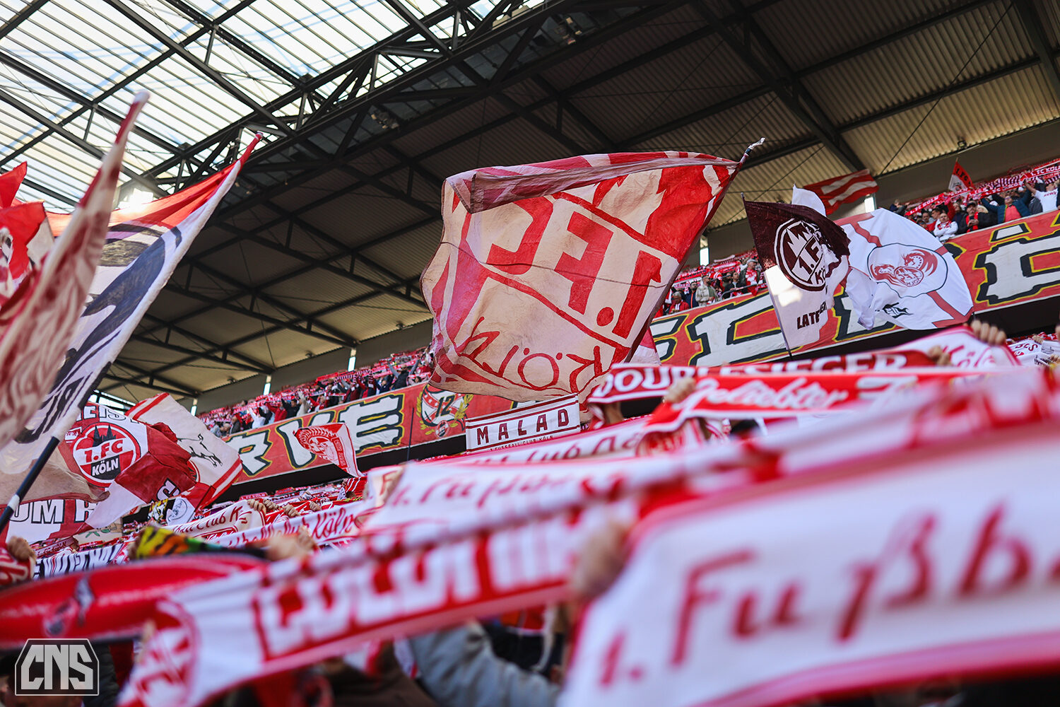 1. FC Köln – SSV Ulm 1846 2-0 (50)