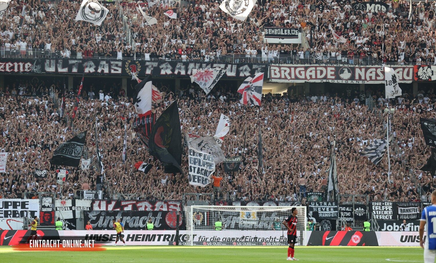 Eintracht Frankfurt – SV Darmstadt 98 1-0 (23)