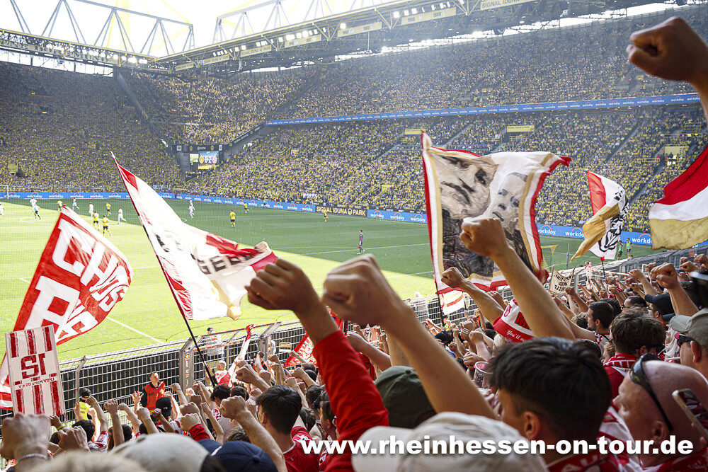 Borussia Dortmund – 1. FSV Mainz 05 2-2 (14)