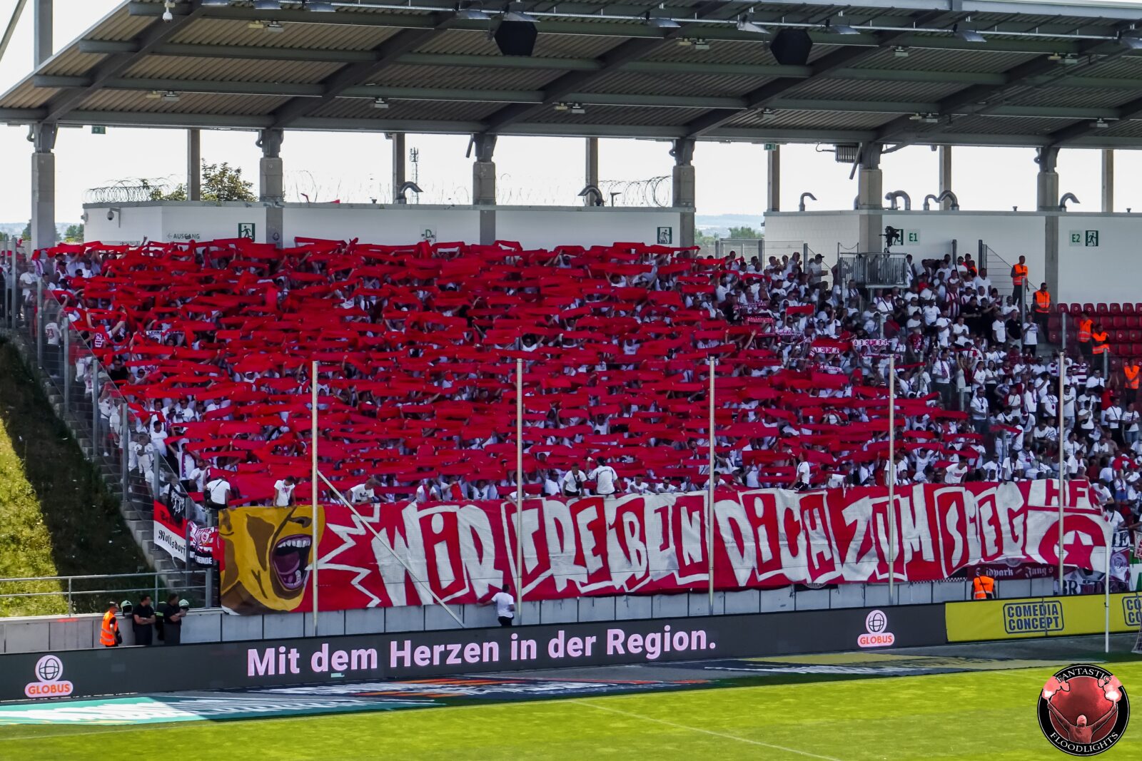 FSV Zwickau – Hallescher FC 3-2 (5)