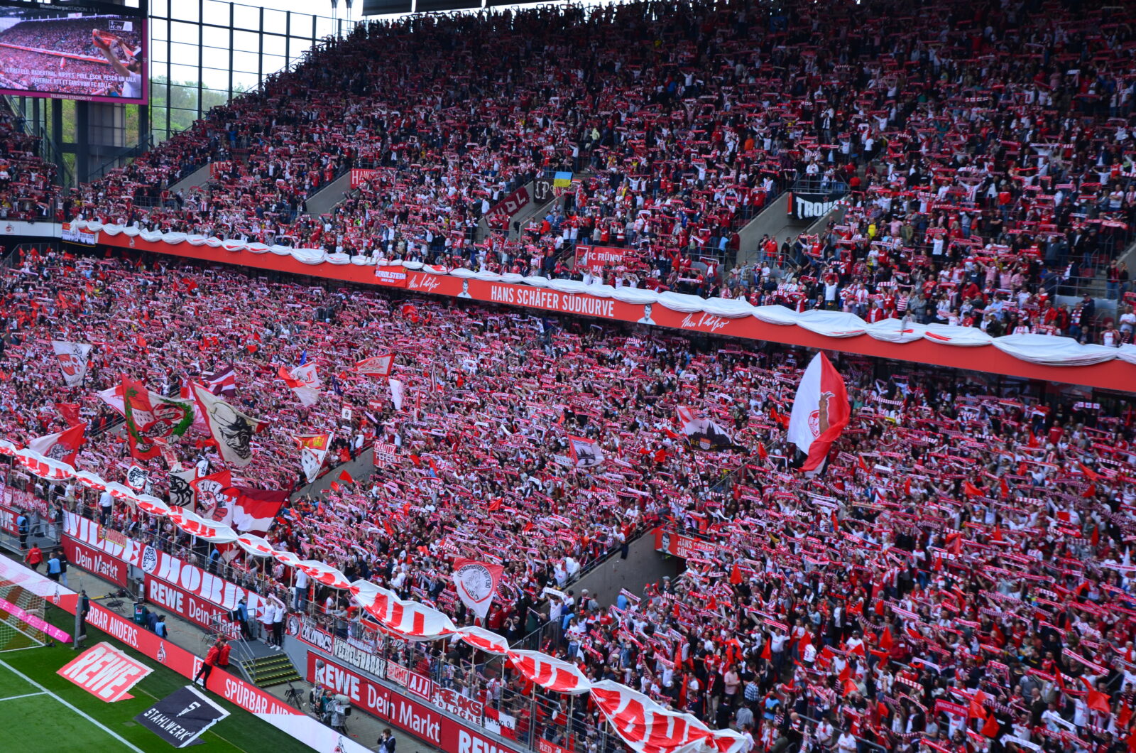 1. FC Köln – DSC Arminia Bielefeld 3-1 (19)