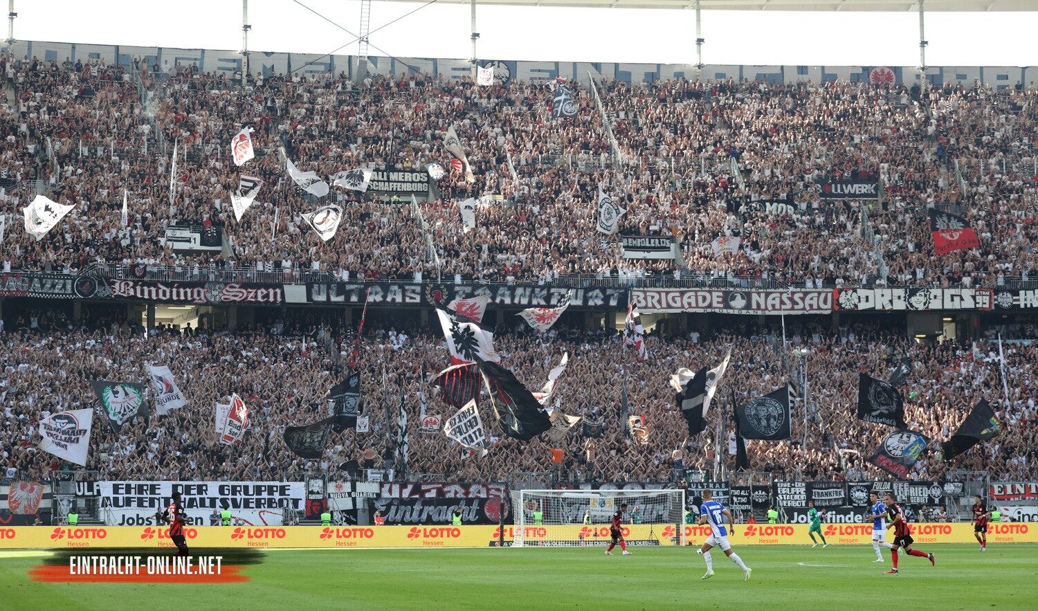 Eintracht Frankfurt – SV Darmstadt 98 1-0 (19)