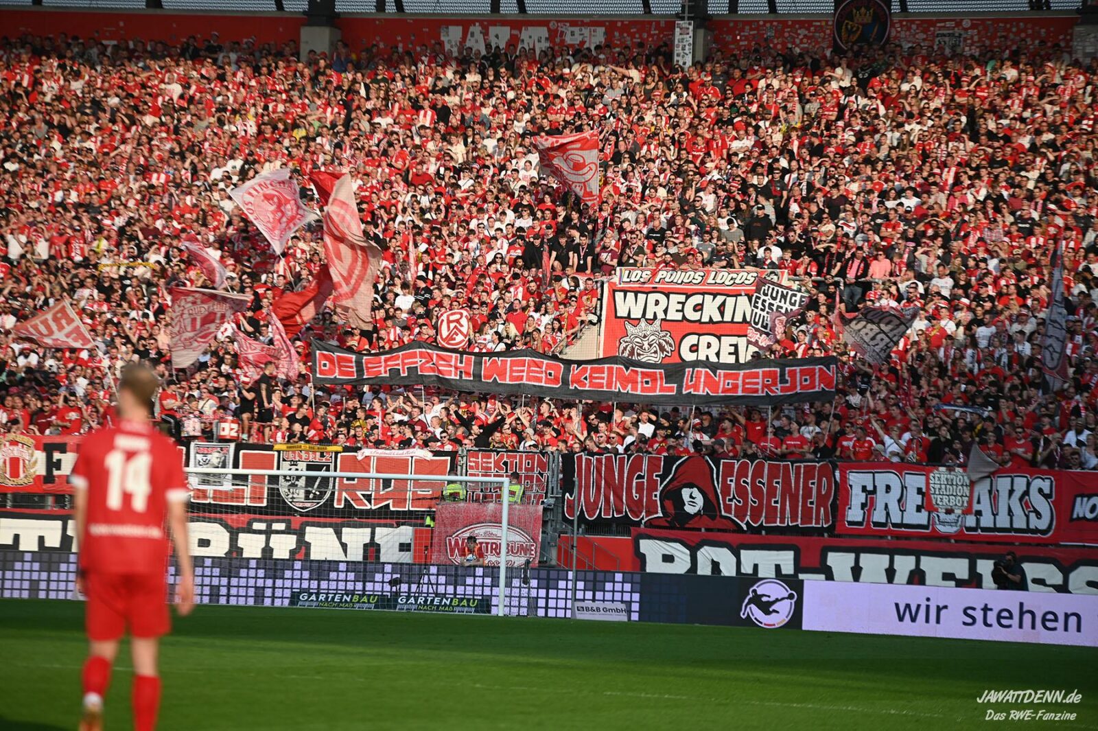 Rot-Weiss Essen – TSV 1860 München 0-1 (9)