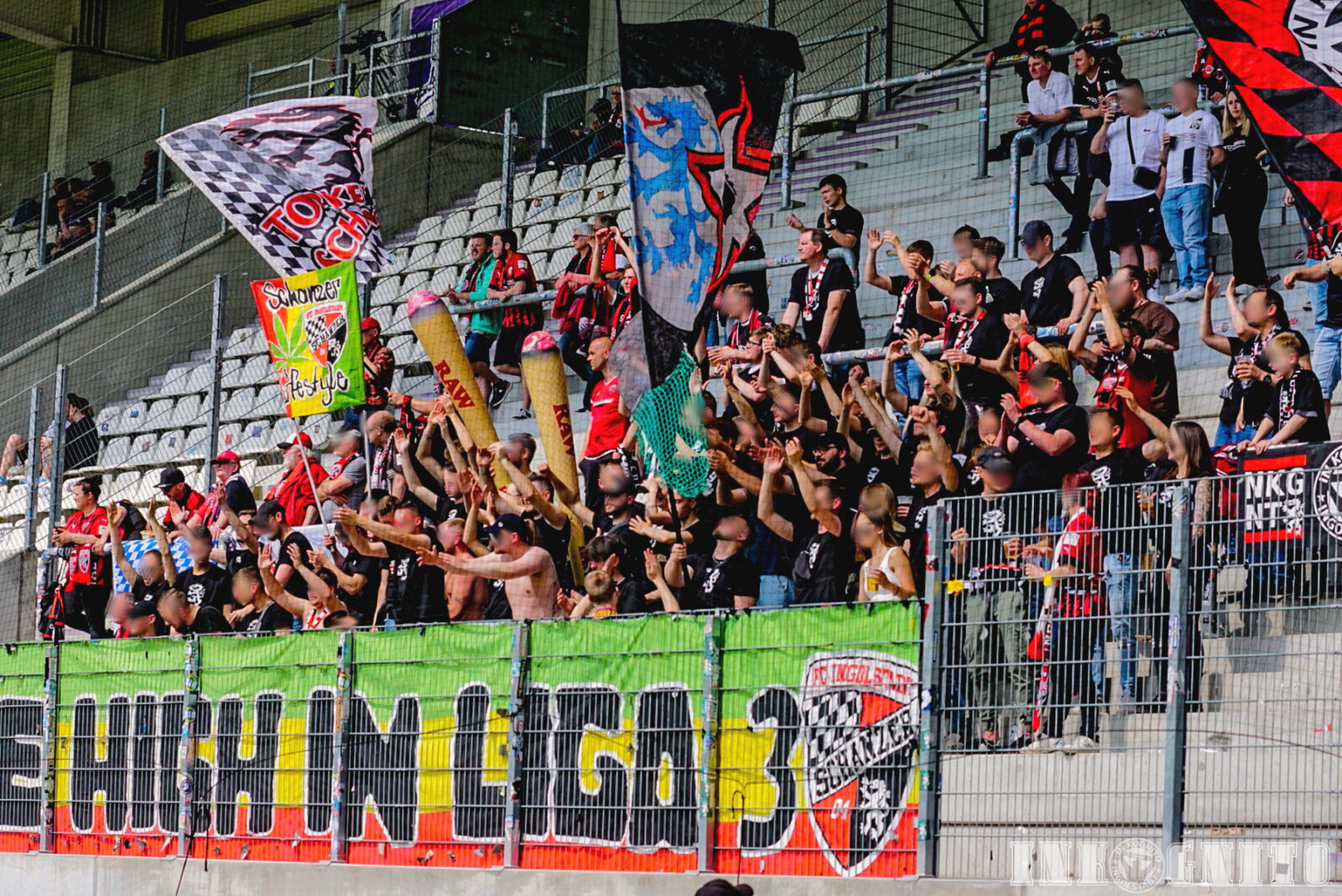 FC Erzgebirge Aue – FC Ingolstadt 0-3 (9)
