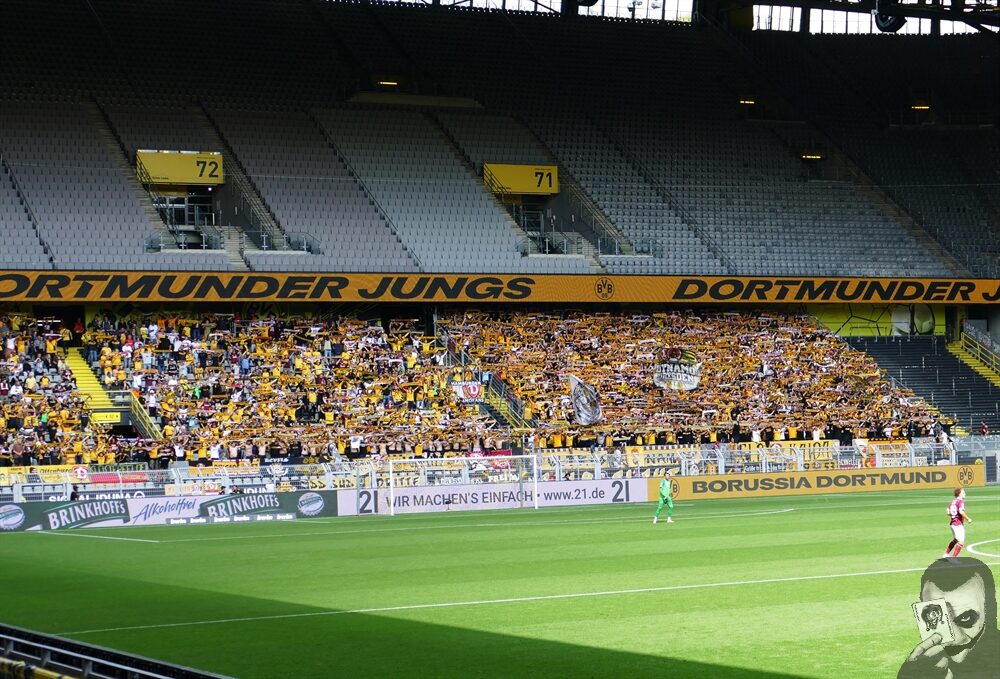 Borussia Dortmund II – Dynamo Dresden 0-2 (7)
