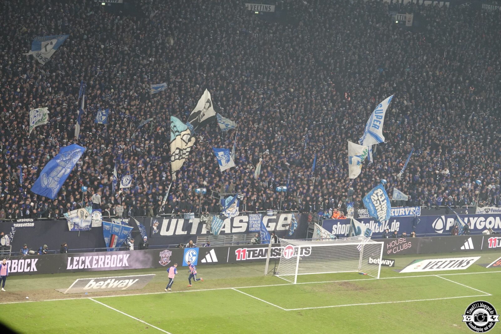 FC Schalke 04 – Hamburger SV (19)
