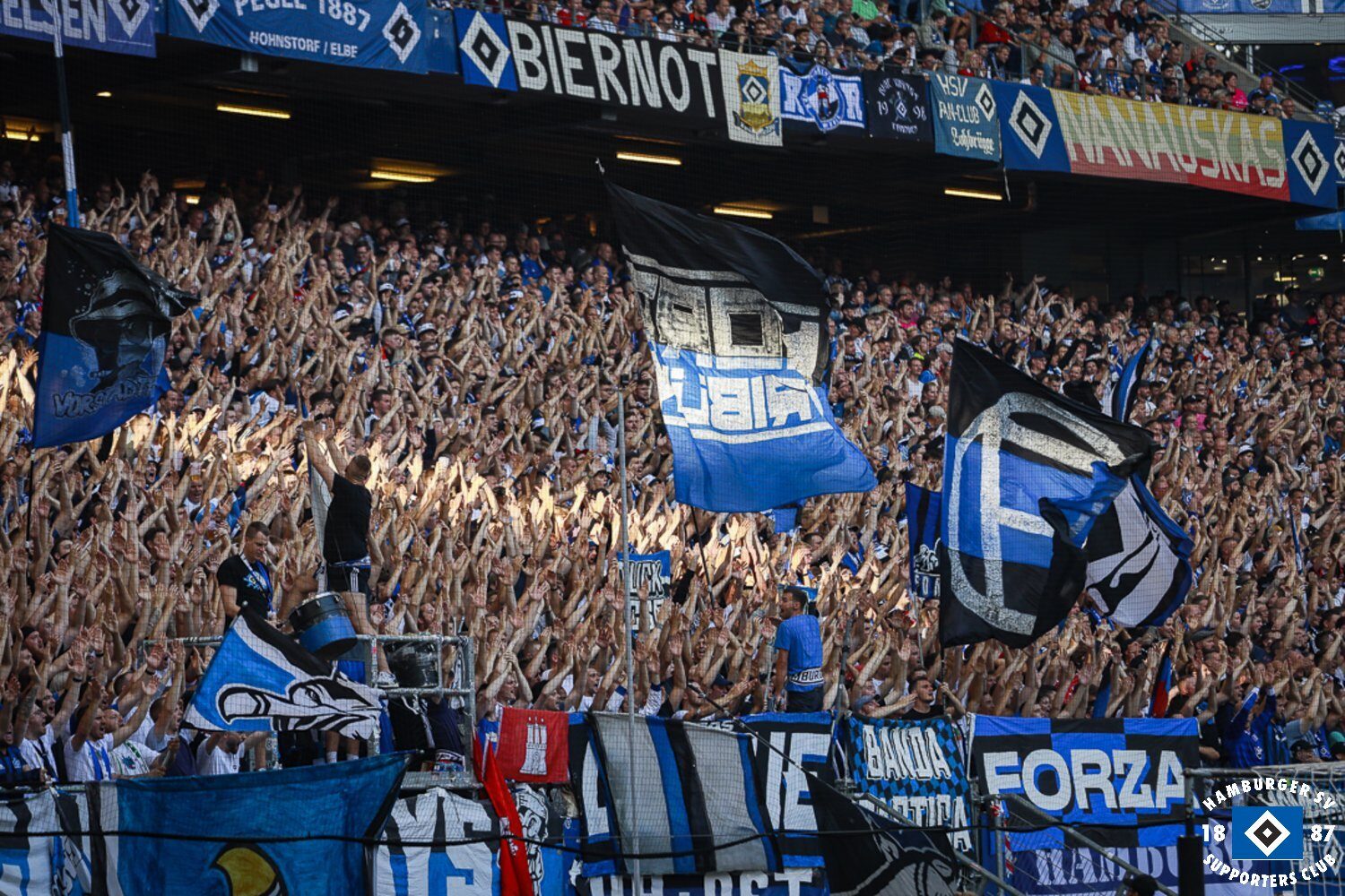 Hamburger SV – SV Darmstadt 98 1-2 (17)