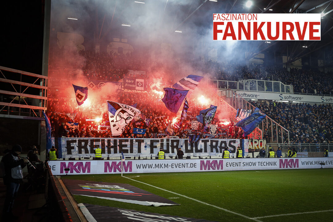 SV Darmstadt 98 – Hamburger SV 1-1 (15)
