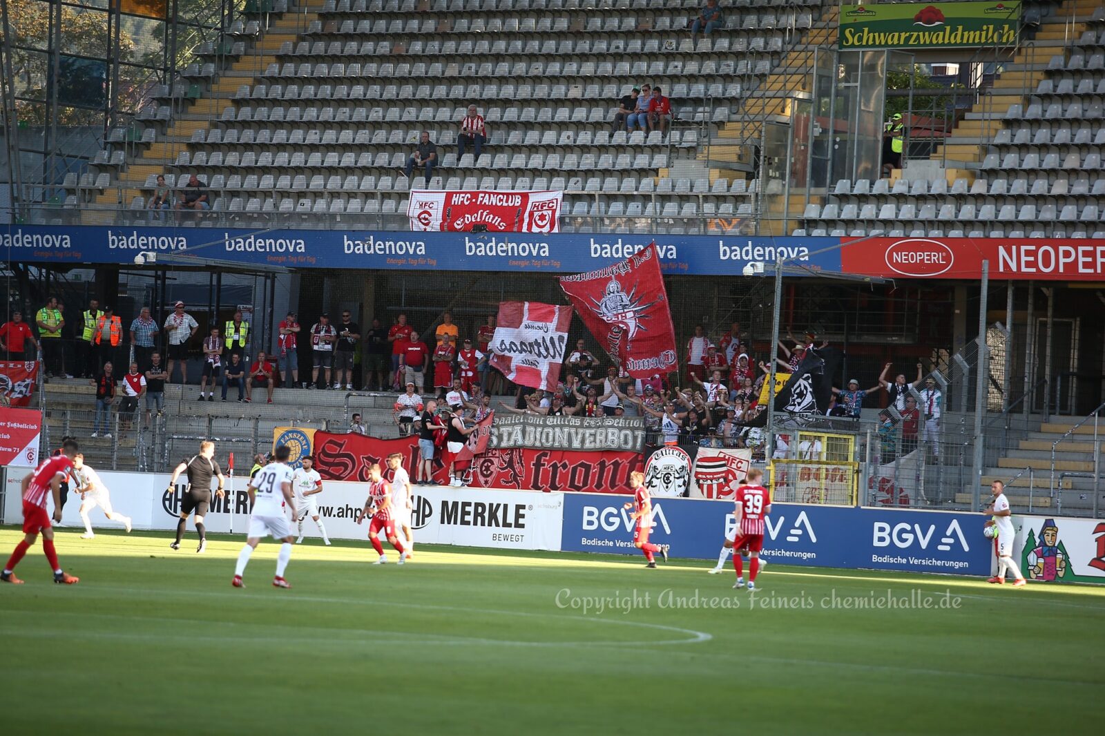 SC Freiburg II – Hallescher FC 2-0 (8)