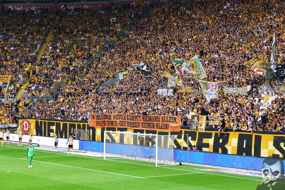 Dynamo Dresden – DSC Arminia Bielefeld 3-1 (11)
