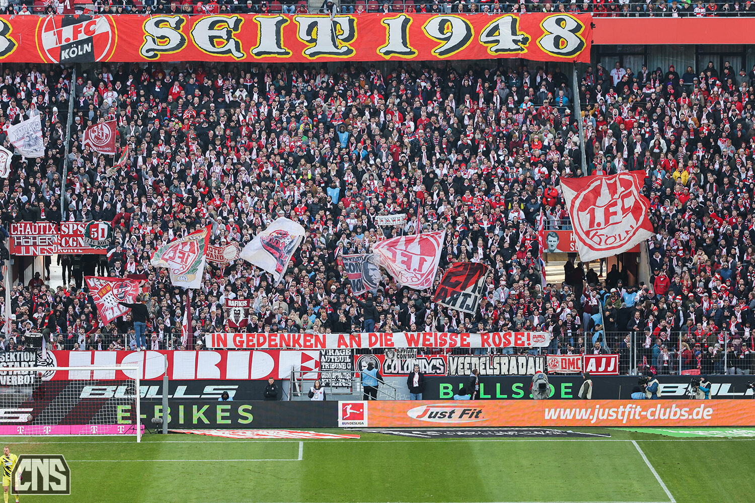 1. FC Köln – VfL Wolfsburg (46)