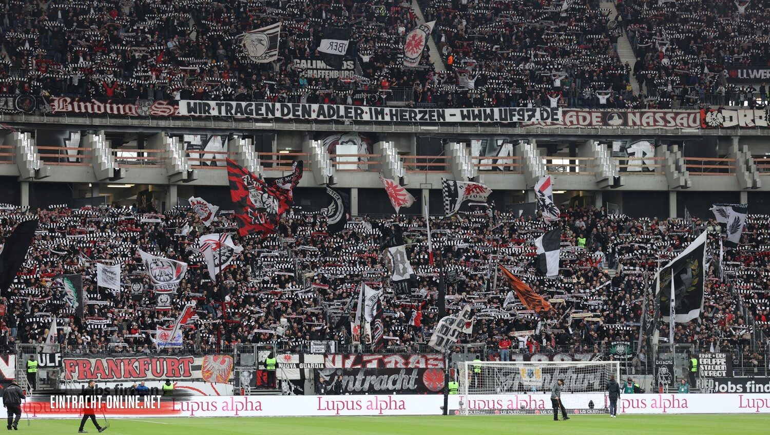 Eintracht Frankfurt – FC Augsburg 1-1 (19)
