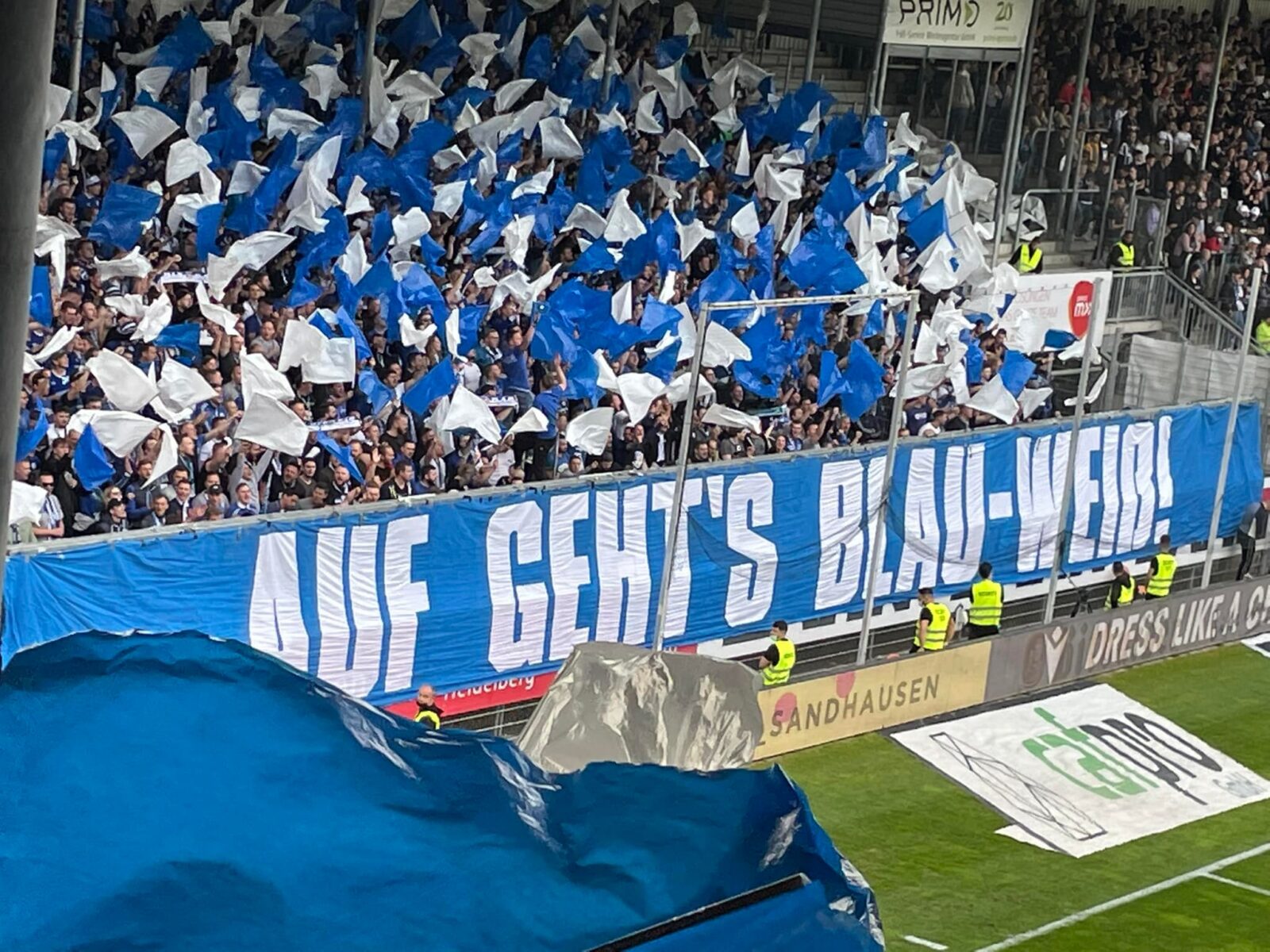 SV Sandhausen – FC Schalke 04 1-2 (11)