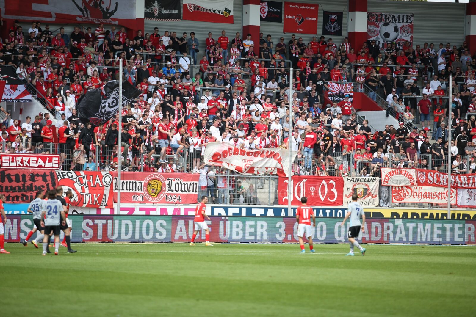 Hallescher FC – SV Wehen 1-1 (2)