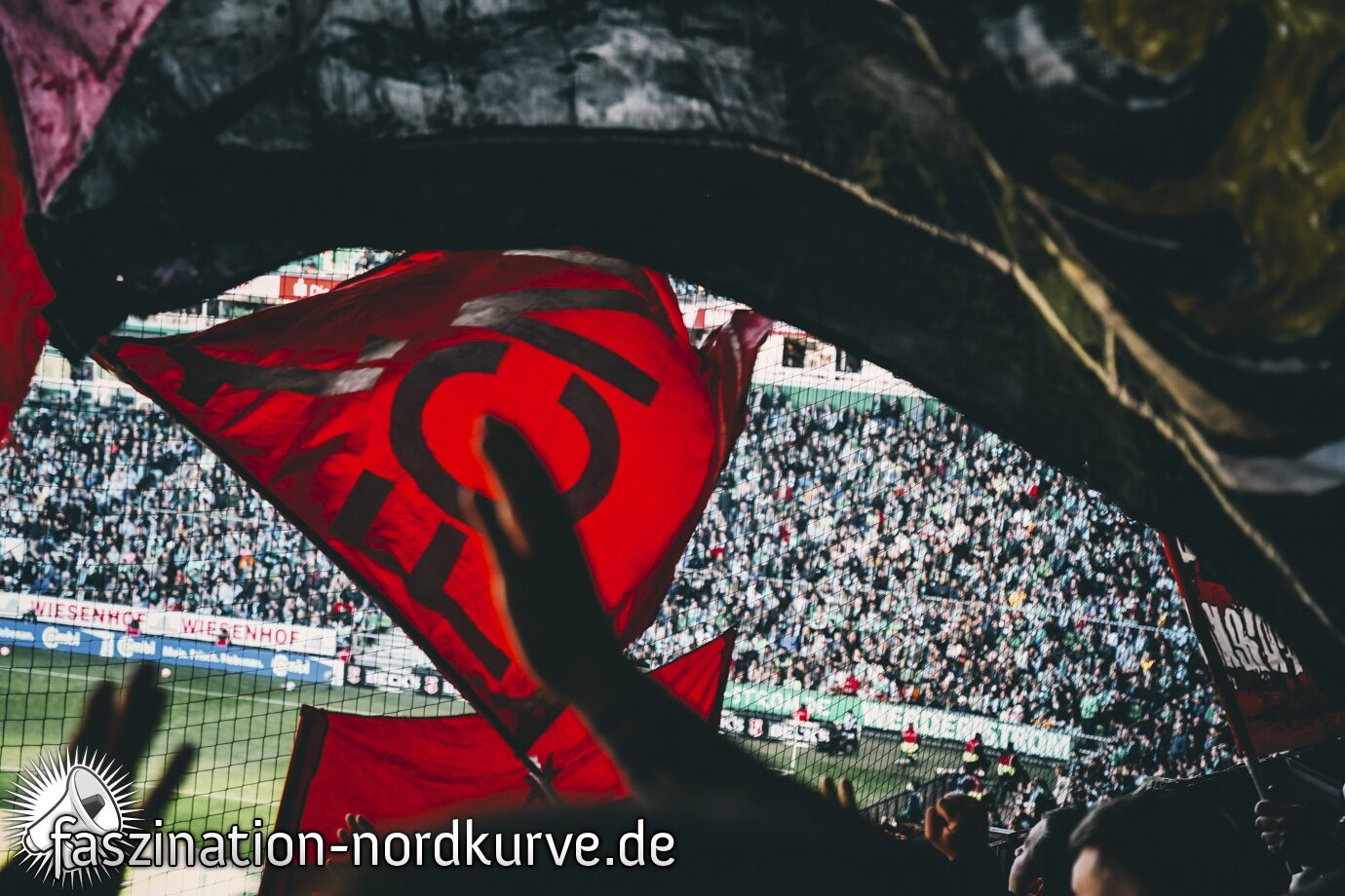 Werder Bremen – 1. FC Nürnberg 1-1 (5)